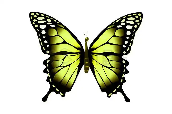 1只绿色蝴蝶4649842矢量图片免抠素材