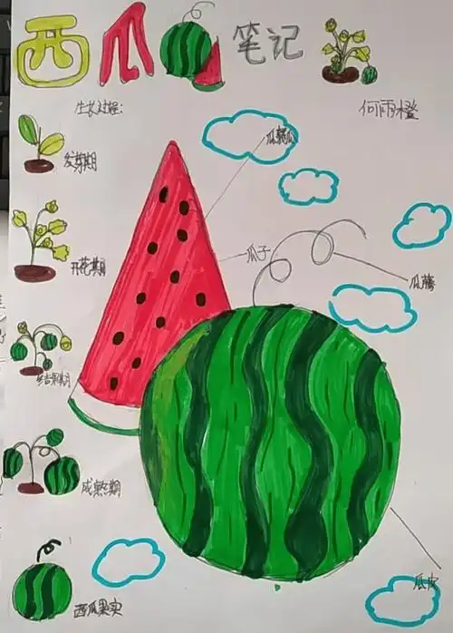 【西瓜节系列活动】吃瓜,玩瓜!这里的活动顶"瓜瓜"