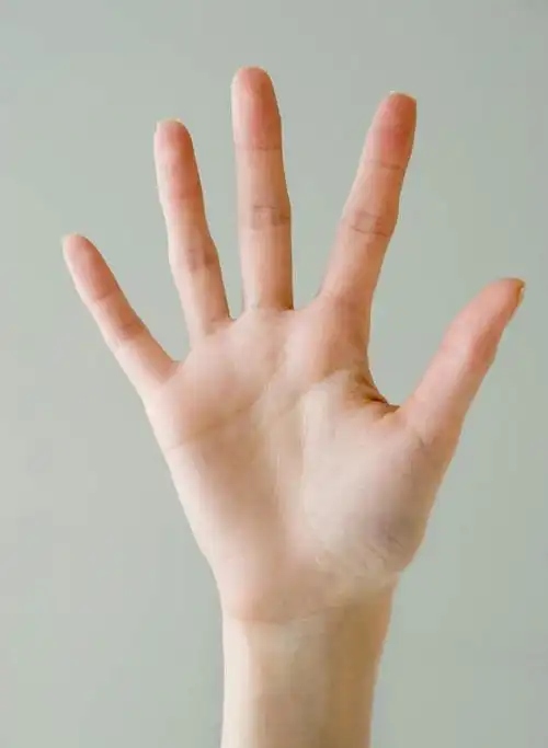 西方人,手,一个人,竖图,室内,特写,白天,正面,欧洲,欧洲人,仅一个年轻