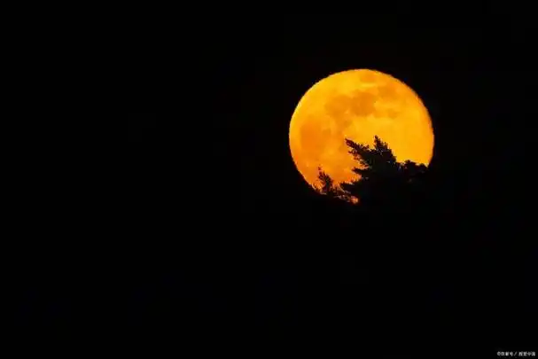 来几首关于描写月亮的古诗,与大家共同分享