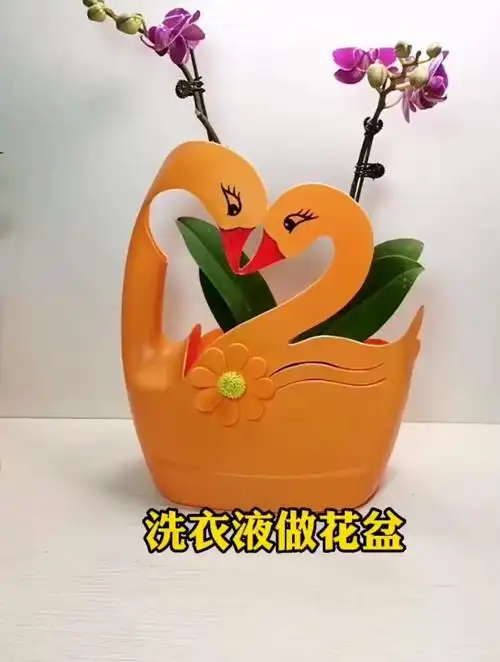 洗衣液瓶千万别扔做个花盆吧