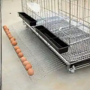 自动滚蛋鸡笼子家用室外养殖笼家庭鸡舍搭建简易装鸭的鸡圈铁丝网