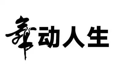 舞动 em>人生 /em>