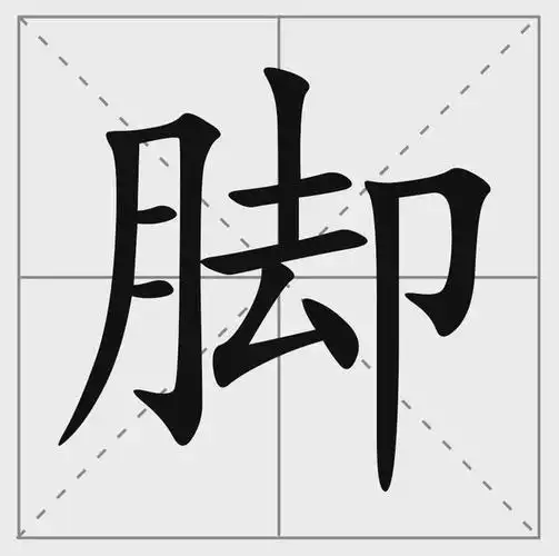 伐怎么读(伐怎么读组词)