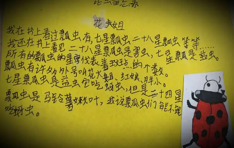 三(2)班 孩子们第一次做昆虫备忘录