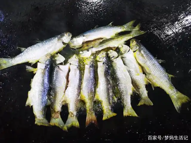 简简单单又一餐的家常菜,学会了就不用叫外卖了