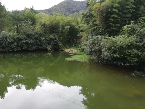 浙江湖州长兴水口镇生态农家乐2018.9.11