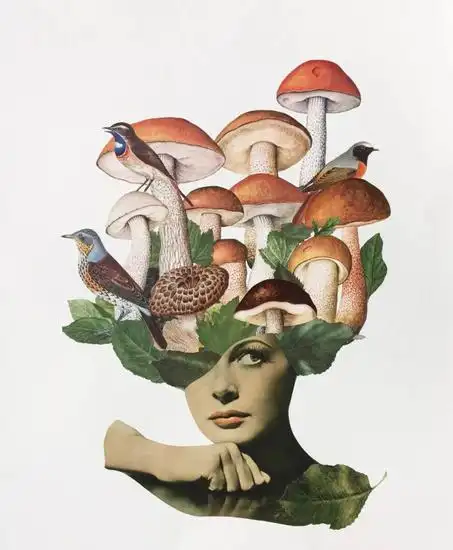 素材|拼贴画|剪贴报_新浪时尚_新浪网