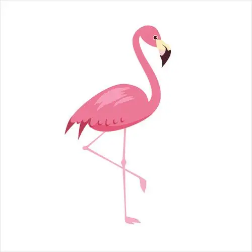 卡通 火烈鸟照片