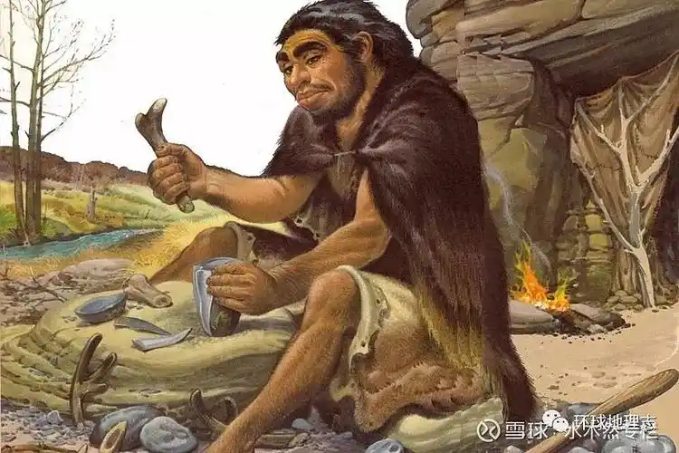 在亚洲进化为北京人在欧洲进化为海德堡人直立人60-80万年前阿舍利