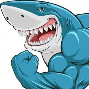 大白鲨头像