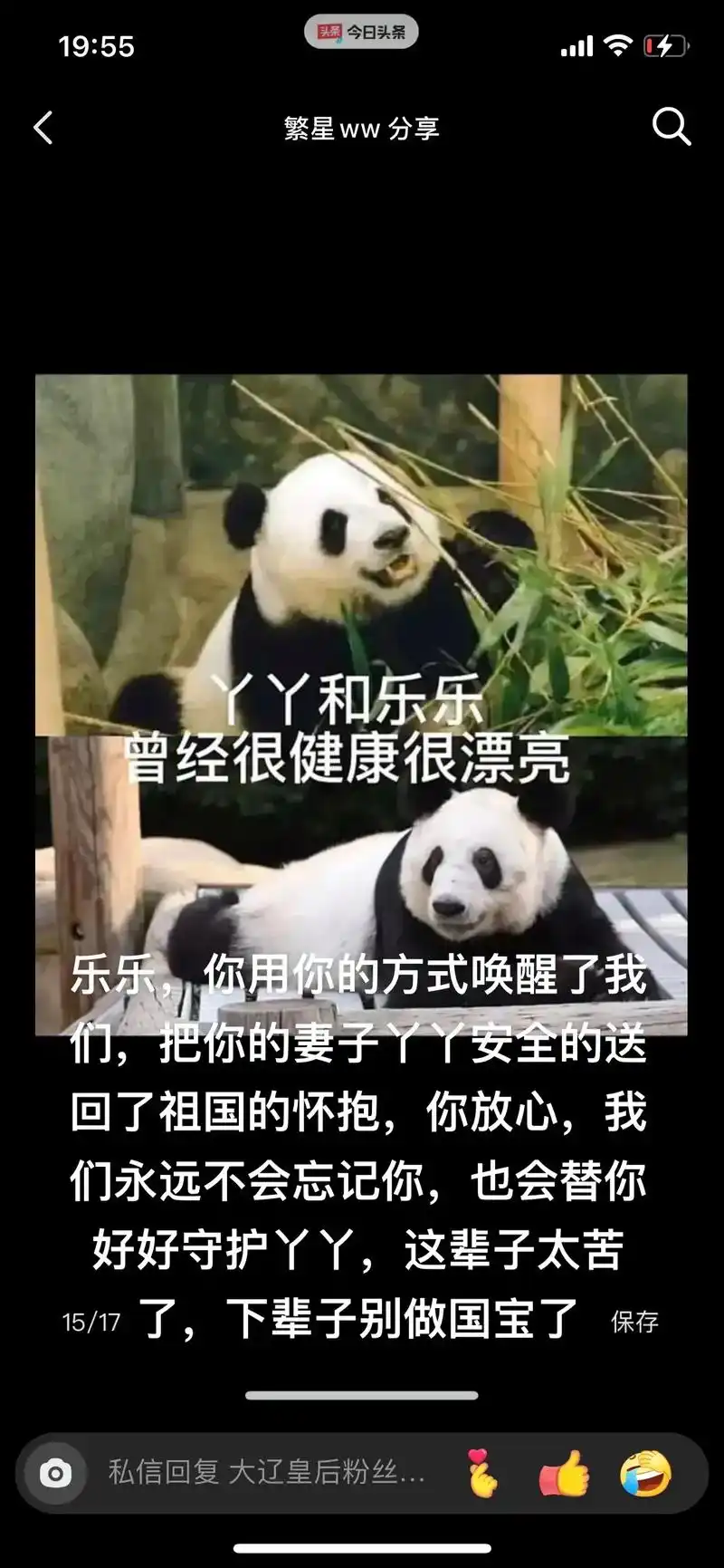 悲喜交加,可喜的是丫丫终于安全回家了,可悲的是乐乐……#熊猫 - 抖音