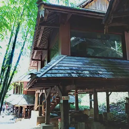 畅游云南,西双版纳,石林之旅(2019.7.4)