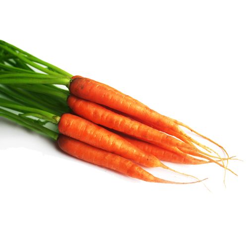 带叶手指萝卜500g新鲜迷你胡萝卜小红红萝卜西餐萝卜