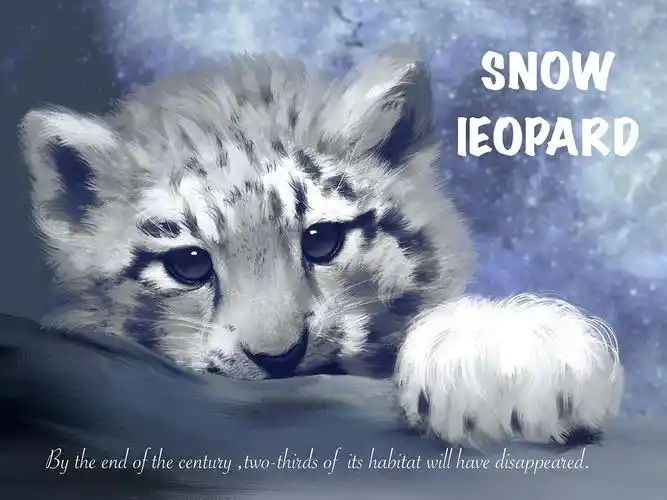 雪豹|插画|创作习作|月光下的辉夜姬 - 原创作品 - 站酷 (zcool)