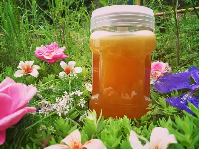 春季野生百花蜜石仓岩天然土蜂蜜农家自产食用纯蜂蜜2斤装4斤包邮