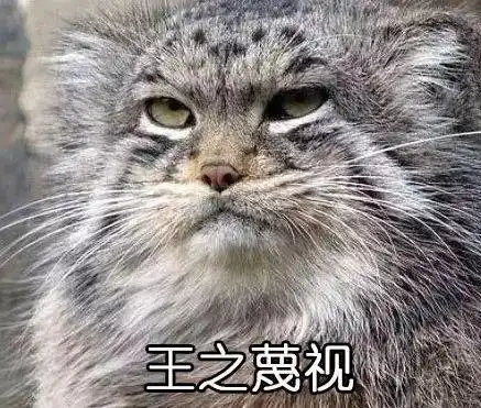 吃,冷漠,蔑视_表情图库_速排小蚂蚁编辑器