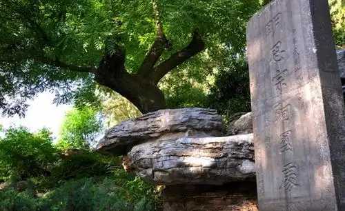 吊在北京煤山歪脖子树上的崇祯皇帝朱由检