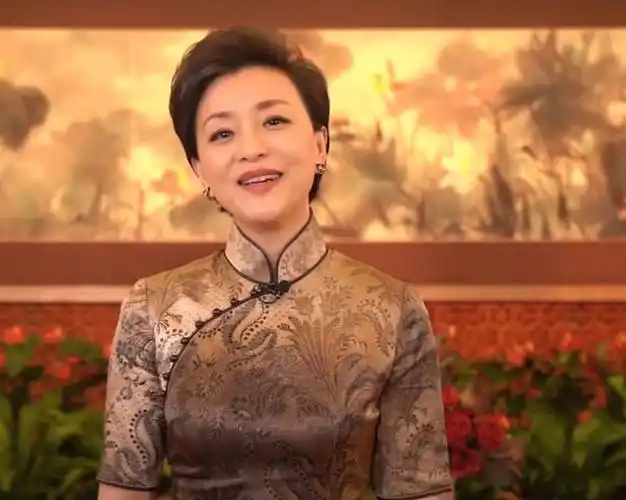 2020年,杨澜身穿旗袍在某宣传活动中出镜,搭配上黑色的耳环十分优雅