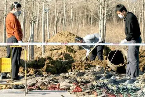 分尸2000多块并煮熟,轰动全国的南大碎尸案,还有侦破的可能吗?