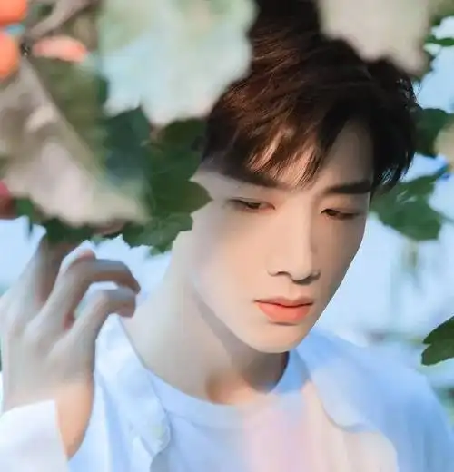 【微信头像】白敬亭