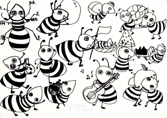 蚂蚁的地下王国儿童画,创意画!
