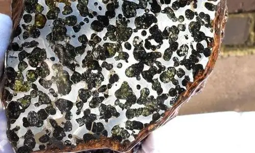 世界上最稀有最昂贵的陨石 却在20年前被偷贩到境外