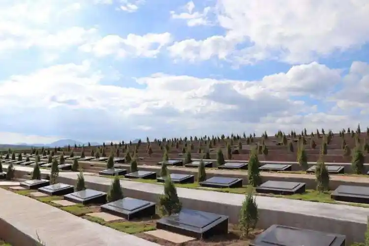 济南陵园网:关于生态葬的背景和含义-济南陵园网