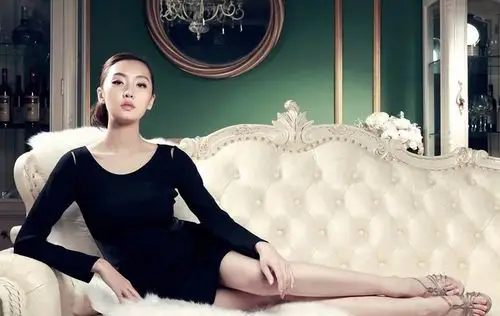 美女明星刘洋 漂亮气质的女人