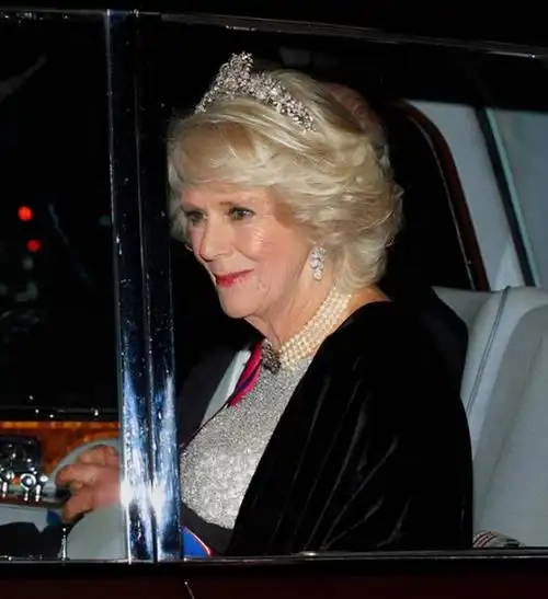 早在查尔斯与卡米拉交往之初,布鲁斯上校便对查尔斯挑三拣四横竖不