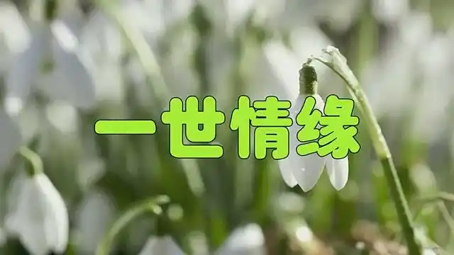 歌曲《一世情缘》,姜育恒居然唱的这么好,太走心了