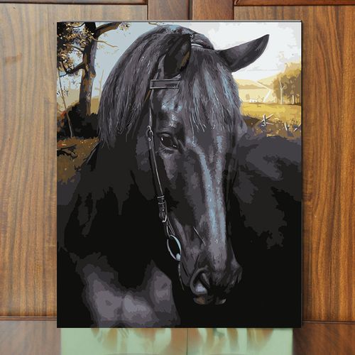 diy手绘填色数字油画客厅卧室书房走廊玄关艺术动物装饰画 马头画