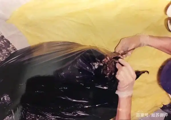 女童被透明胶带捆成胎儿状,塞进黑色塑料袋内