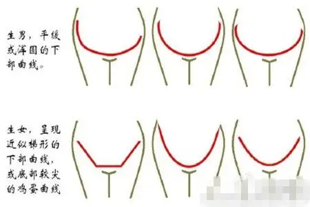 预产期计算器生男生女