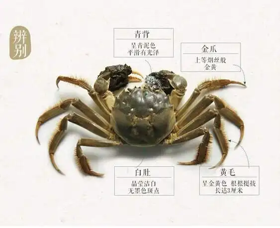 超哥解福彩3d第2017228期太湖钓叟三字诀拓展更新