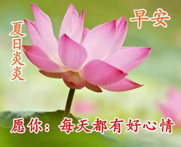 早安心语图片带字朋友圈早安问候心情说说