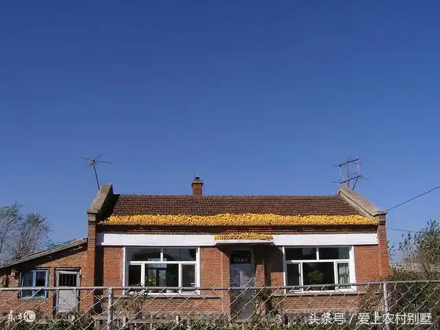 头条问答 - 南方农村家家房子越建越高,为何北方却喜欢建平房?