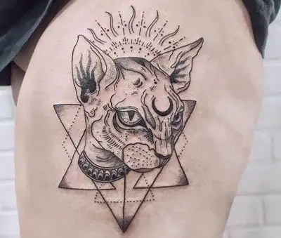 30张高清比鲁斯猫纹身图片