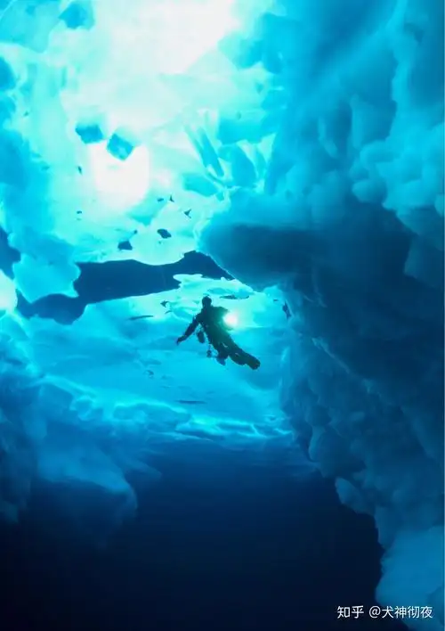 有哪些深海恐惧症看了会害怕的图片?