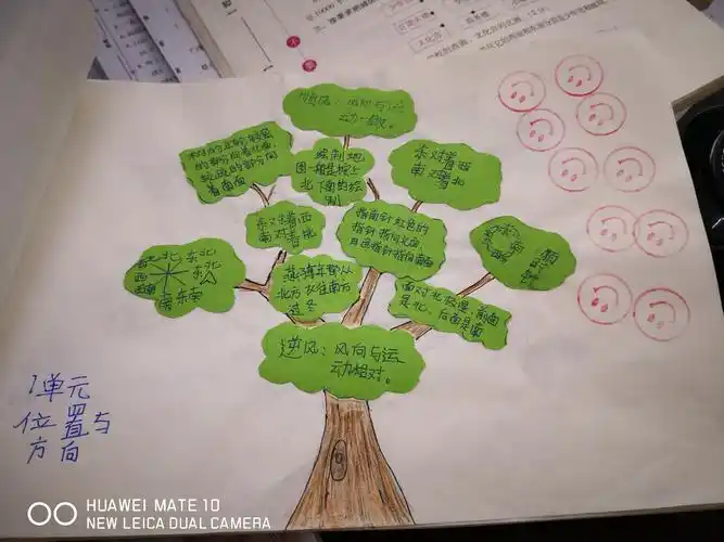 秀山二小三年级1,2班数学期末总复习,数学智慧树上硕果累累,大丰收啦!