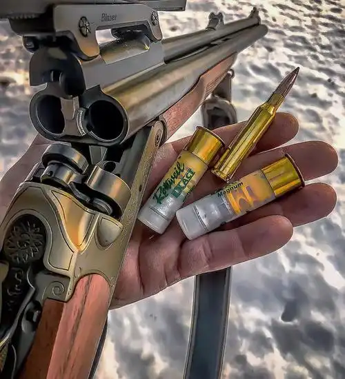 猎人的忠实伙伴猎枪的金属艺术