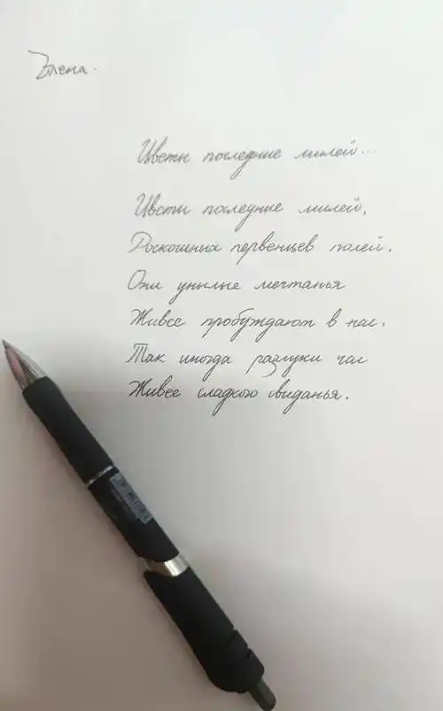 摆渡第四届俄语书法大赛投票第一组开启啦!