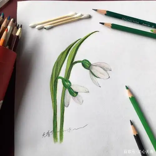 雪滴花虽漂亮,但画出来的更漂亮