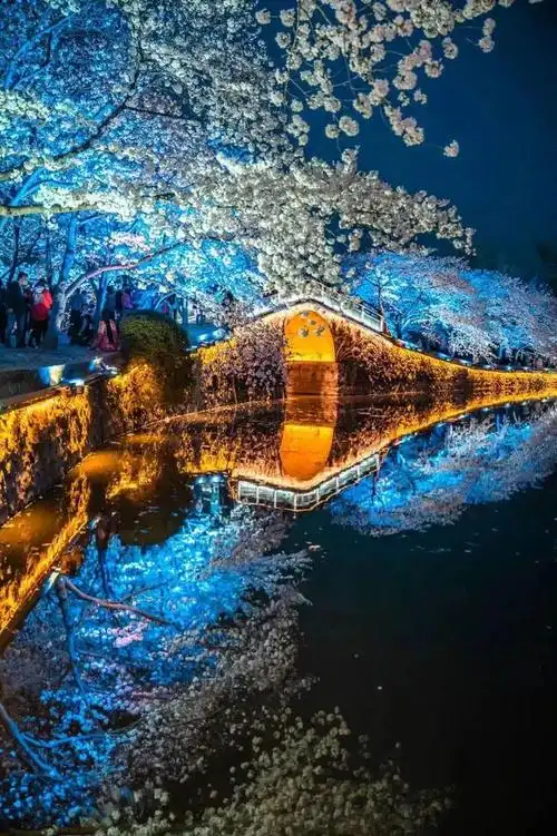 鼋头渚最新公告