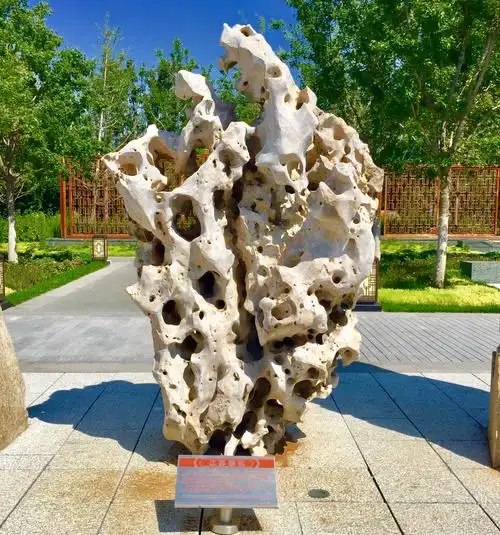 展石为太湖石,该石为水石,产于太湖.