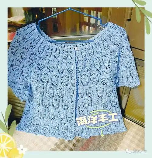 织女圈经典菠萝花织就的夏季圆领镂空菠萝花开衫附图解