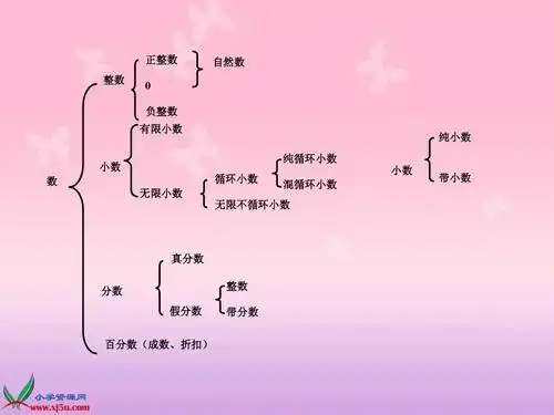 数与代数思维导简笔画