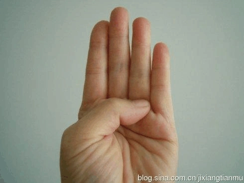 百邪不侵的手印"金刚拳"