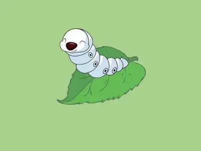 五年级作文:我的蚕宝宝