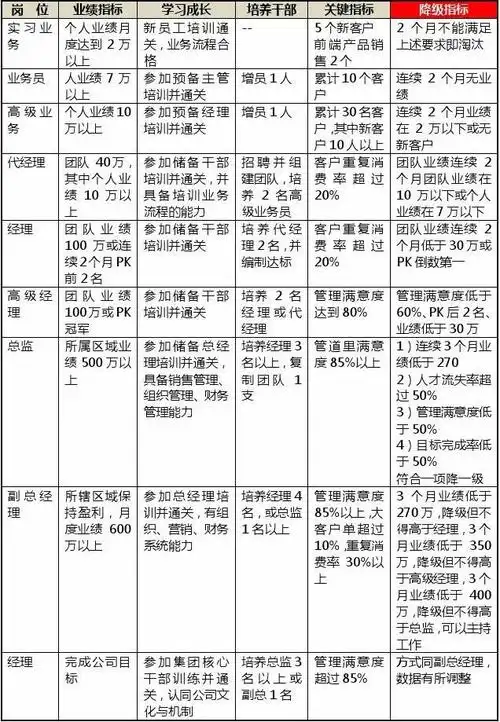 营销团队晋升标准表(1)_word文档在线阅读与下载_免费文档